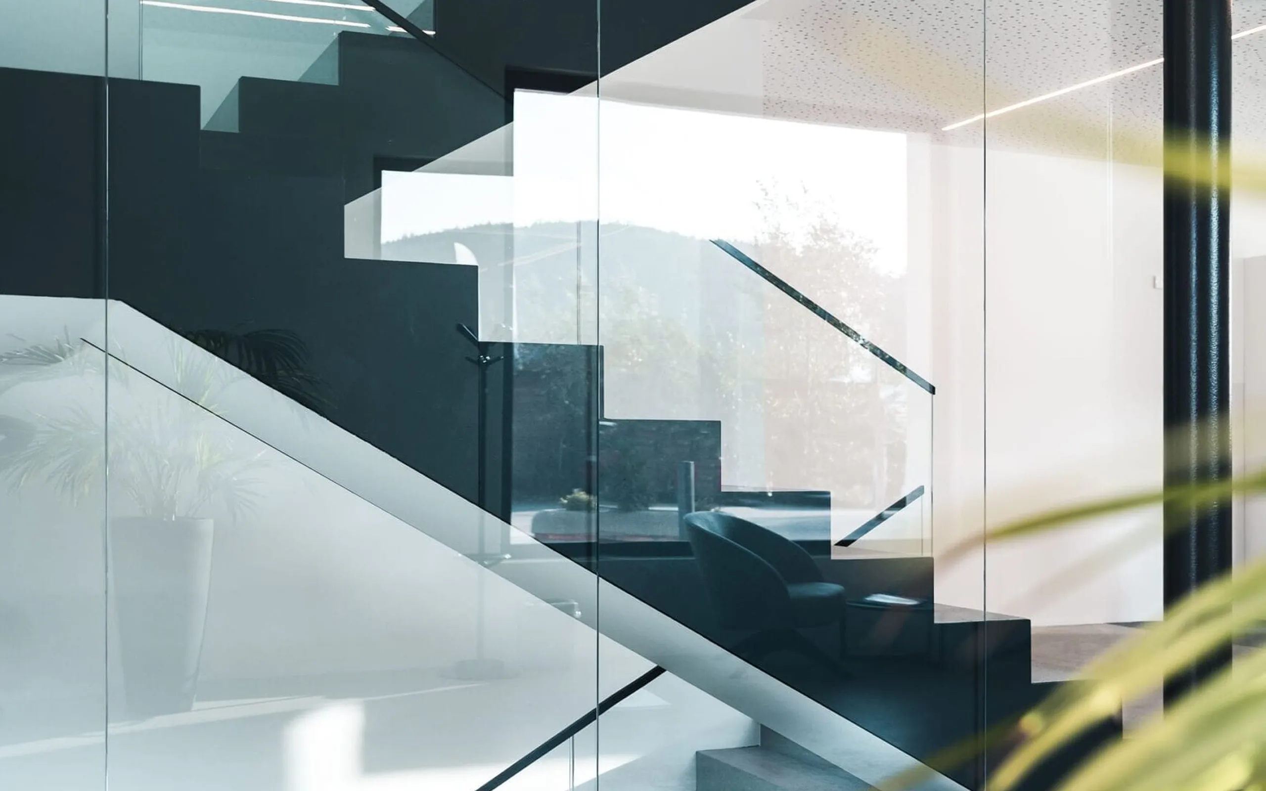 Interno moderno con scala a gradini nera tra pareti di vetro, riflessi di luce e piante all’angolo.