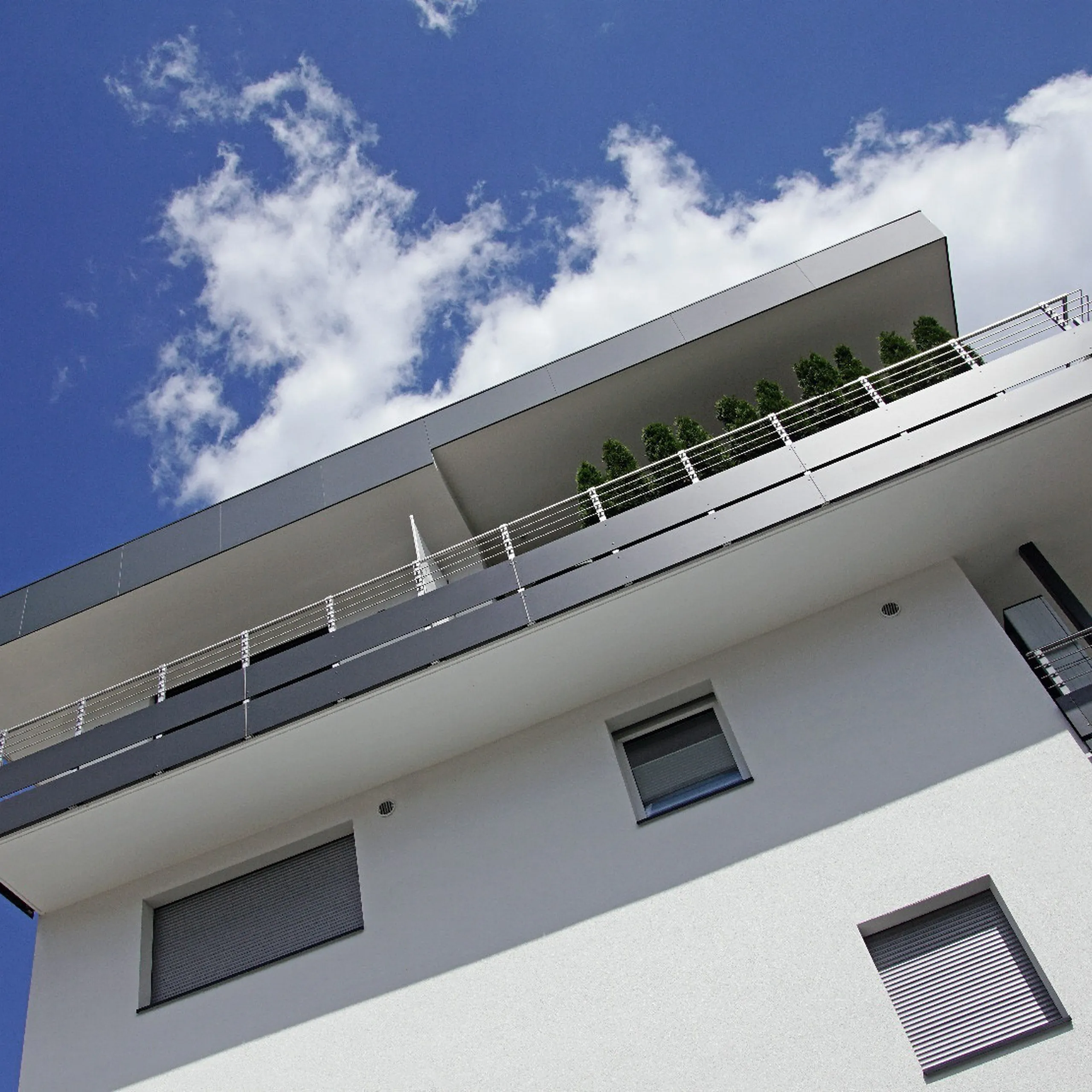 Whats App Image 2025 12 08 at 16 06 05